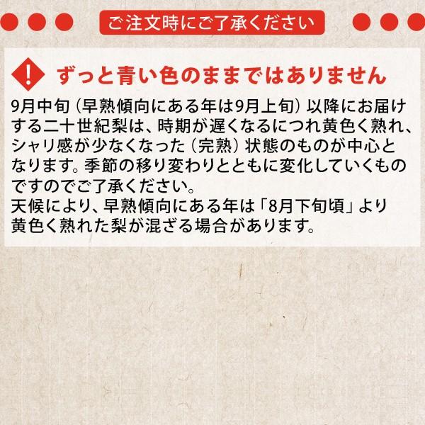 梨 訳あり 広岡農場の二十世紀梨（20世紀梨）10kg詰（18〜36玉入） 鳥取県産 なし ご自宅用 送料無料_8