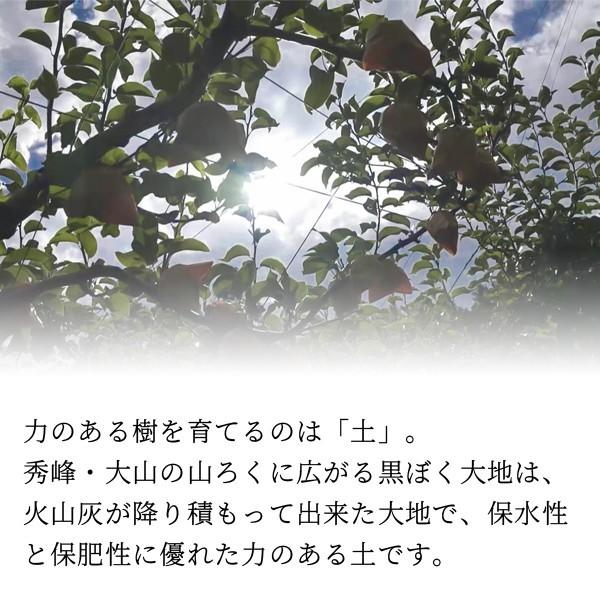 広岡農場の秋栄（あきばえ）梨 2.2kg詰（5〜7玉入） 鳥取県産 なし 訳あり（ご自宅用） 二十世紀梨と幸水の掛け合わせ 送料無料（北海道・沖縄を除く）｜toretatehonpo｜05