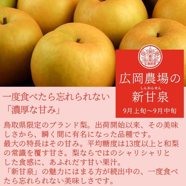 梨 広岡農場の新甘泉（しんかんせん） 5kg詰（7〜16玉入） 鳥取県産 なし ご贈答用 新甘泉梨 赤秀 送料無料_5