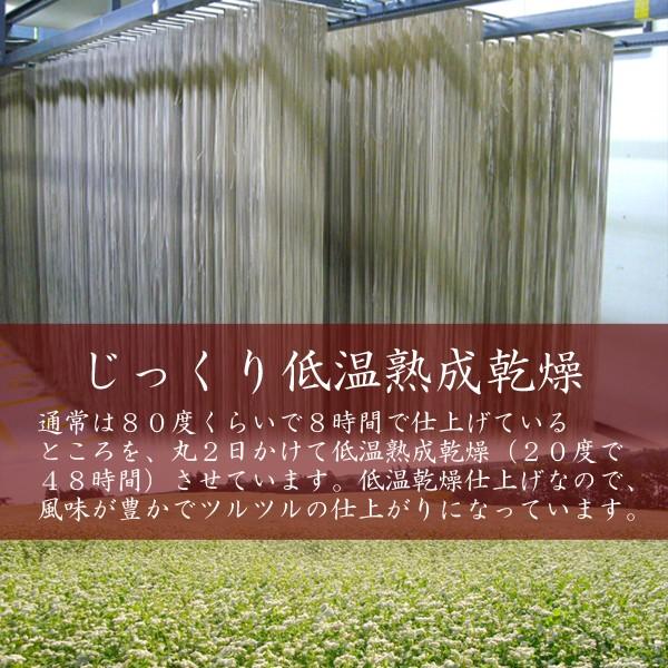 母の日 プレゼント 2024 ギフト 50代 60代 70代『無添加 出雲そば 出雲だんだんそば6人前（生そば） 濃縮つゆ付き 出雲蕎麦 送料無料』｜toretatehonpo｜08