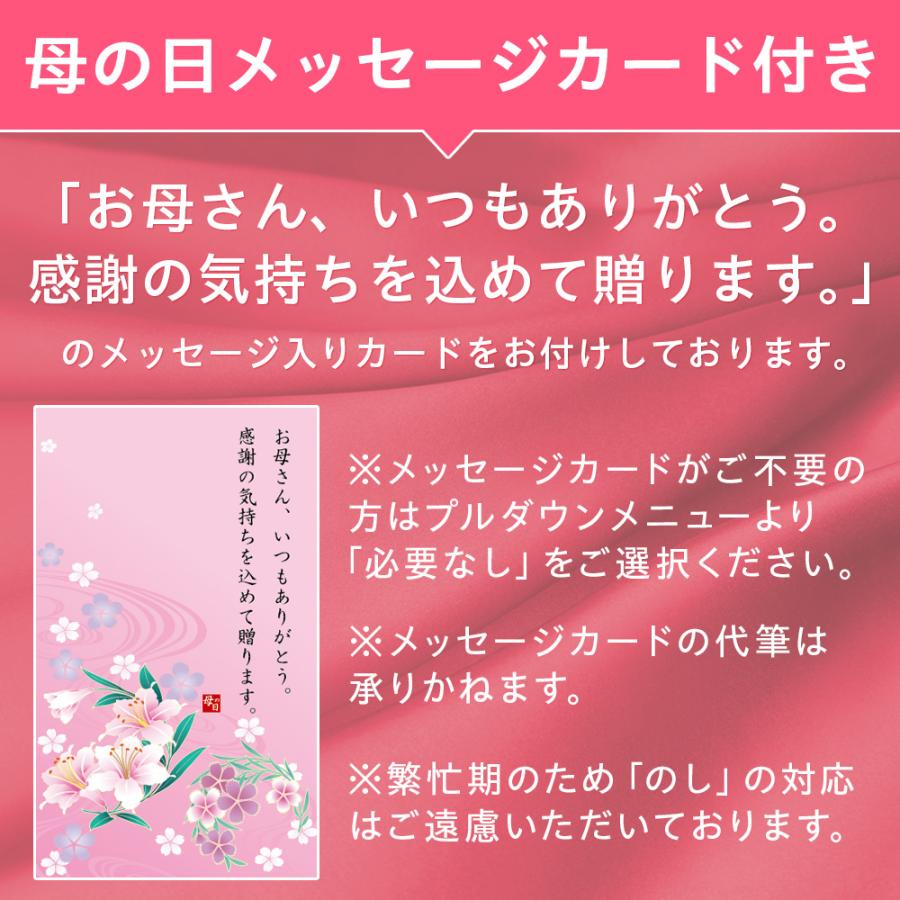 風味絶佳 母の日 ギフト プレゼント 花 2026 40代 50代 60代 70代 80代