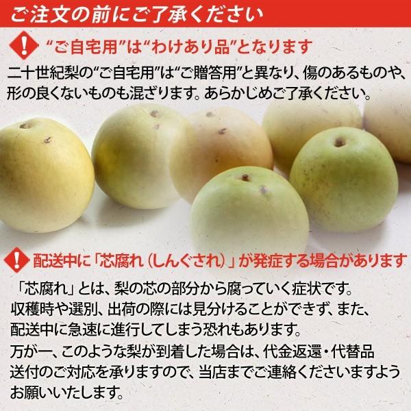 二十世紀梨（20世紀梨）3kg詰（9玉前後入） 鳥取県産 赤秀（ご贈答用） 送料無料（北海道・沖縄を除く）  :id-20c-red-3k:パーソナルギフト 風味絶佳.山陰 - 通販 - Yahoo!ショッピング