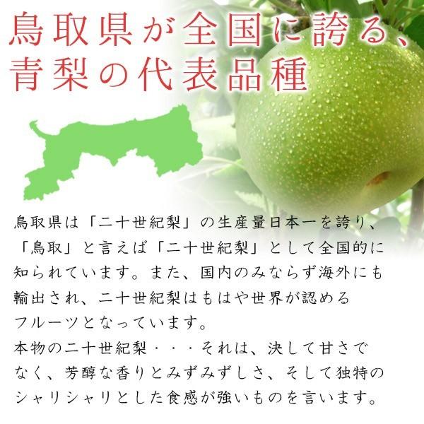 二十世紀梨（20世紀梨）3kg詰（9玉前後入） 鳥取県産 なし 赤秀（ご贈答用） 送料無料（北海道・沖縄を除く）｜toretatehonpo｜05