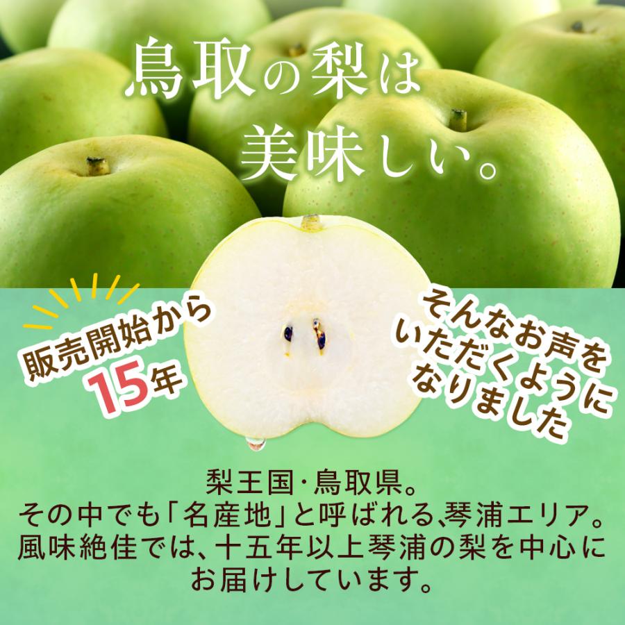 風味絶佳 梨 二十世紀梨（20世紀梨）5kg詰（14玉前後入） 鳥取県産