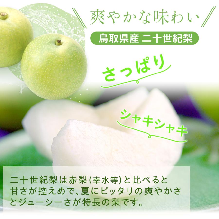 風味絶佳 梨 二十世紀梨（20世紀梨）5kg詰（14玉前後入） 鳥取県産