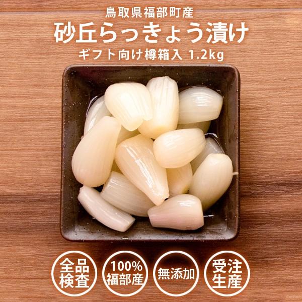 風味絶佳 砂丘らっきょう漬け 鳥取県福部町産 ギフト向け樽箱入1.2kg