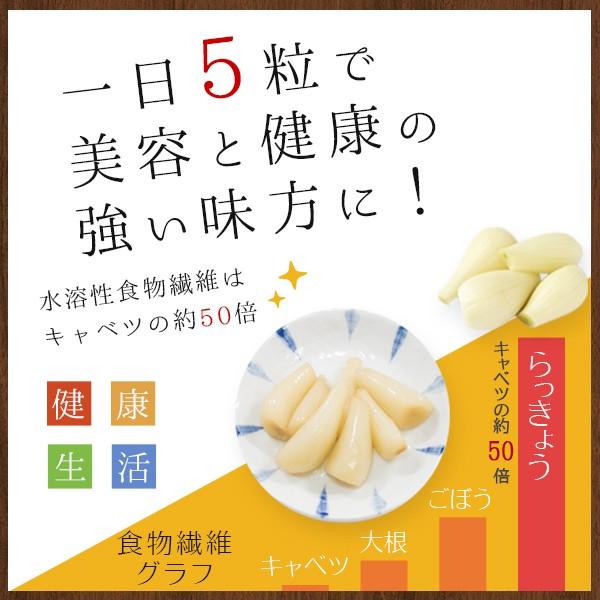 風味絶佳 砂丘らっきょう漬け 鳥取県福部町産 ギフト向け樽箱入1.2kg