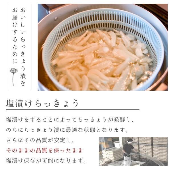 風味絶佳 砂丘らっきょう漬け 鳥取県福部町産 選べる3パックセット 無