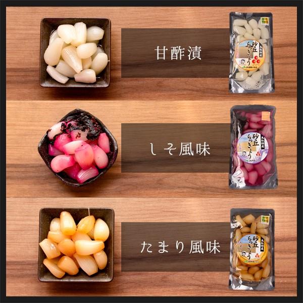 風味絶佳 砂丘らっきょう漬け 鳥取県福部町産 選べる3パックセット 無