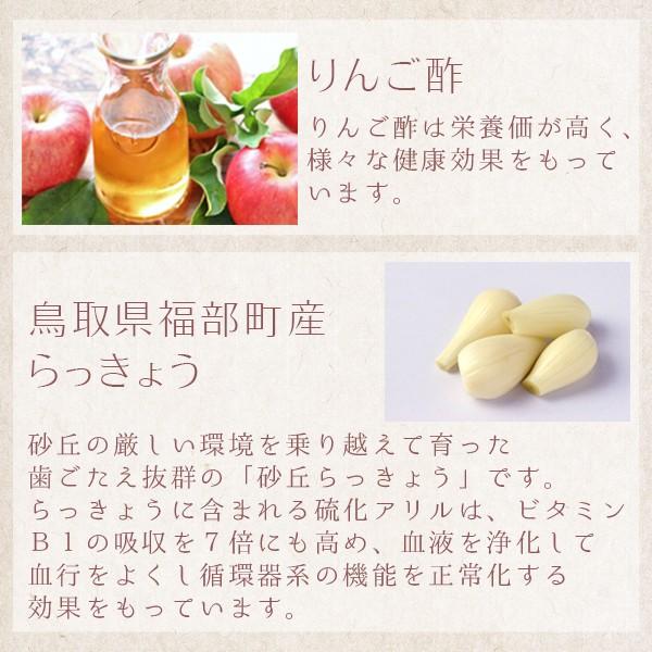 風味絶佳 砂丘らっきょう漬け 鳥取県福部町産 選べる3パックセット 無