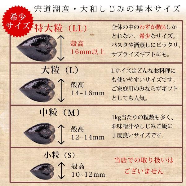 宍道湖産 冷凍しじみ 1kg（中粒） 砂抜き済 送料無料（北海道・沖縄を除く）｜toretatehonpo｜05