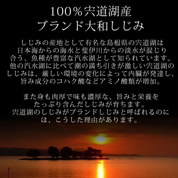 宍道湖産 冷凍しじみ 2kg（中粒） 砂抜き済 送料無料（北海道・沖縄を除く）｜toretatehonpo｜02