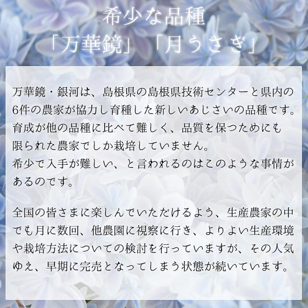 風味絶佳 母の日 ギフト プレゼント 花 2026アジサイ 40代 50代 60代
