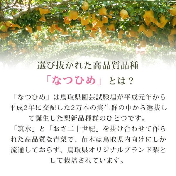 なつひめ5kg詰 12 14玉入 鳥取県産 梨 赤秀 送料無料 北海道 沖縄を除く Kn Natsuhime D パーソナルギフト 風味絶佳 山陰 通販 Yahoo ショッピング