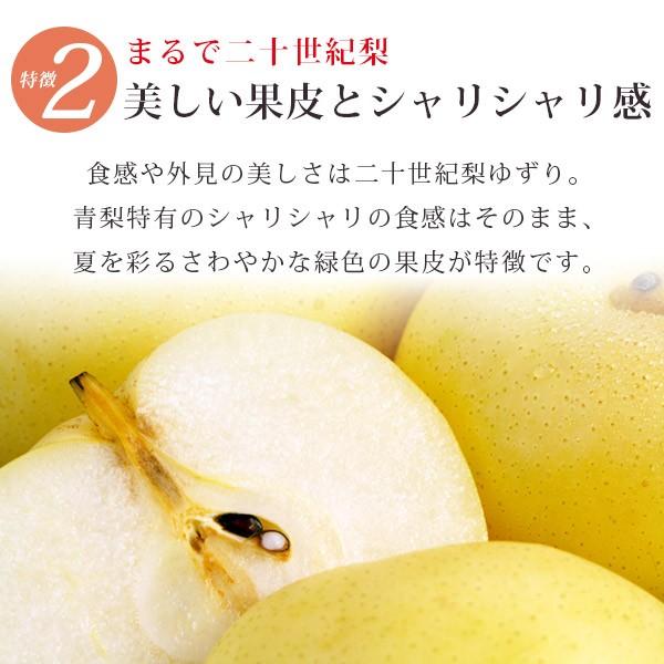 なつひめ5kg詰 12 14玉入 鳥取県産 梨 赤秀 送料無料 北海道 沖縄を除く Kn Natsuhime D パーソナルギフト 風味絶佳 山陰 通販 Yahoo ショッピング