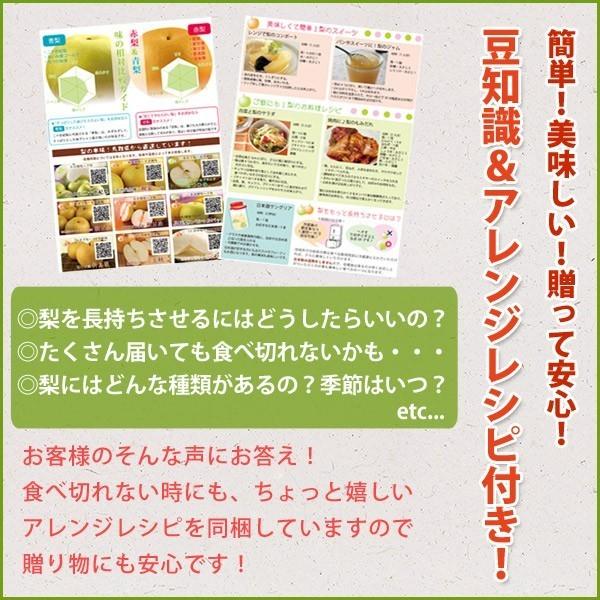 なつひめ5kg詰 12 14玉入 鳥取県産 梨 赤秀 送料無料 北海道 沖縄を除く Kn Natsuhime D パーソナルギフト 風味絶佳 山陰 通販 Yahoo ショッピング