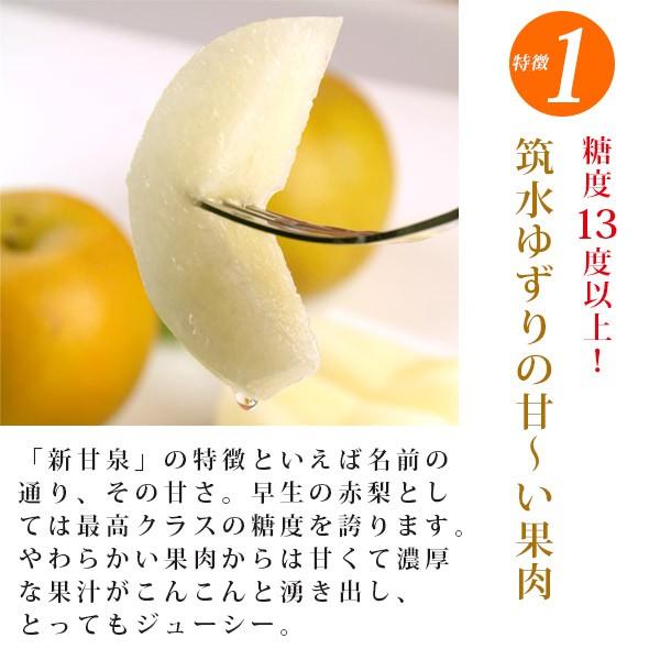 新甘泉 しんかんせん 梨 2kg詰 5 6玉入 鳥取県産 赤秀 送料無料 北海道 沖縄を除く Kn Shinkansen C パーソナルギフト 風味絶佳 山陰 通販 Yahoo ショッピング