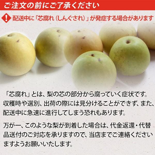 梨 光センサー糖度13度以上保証 新甘泉(しんかんせん) 5kg詰 梨 光センサー糖度13度以上保証 新甘泉(しんかんせん) 5kg詰
