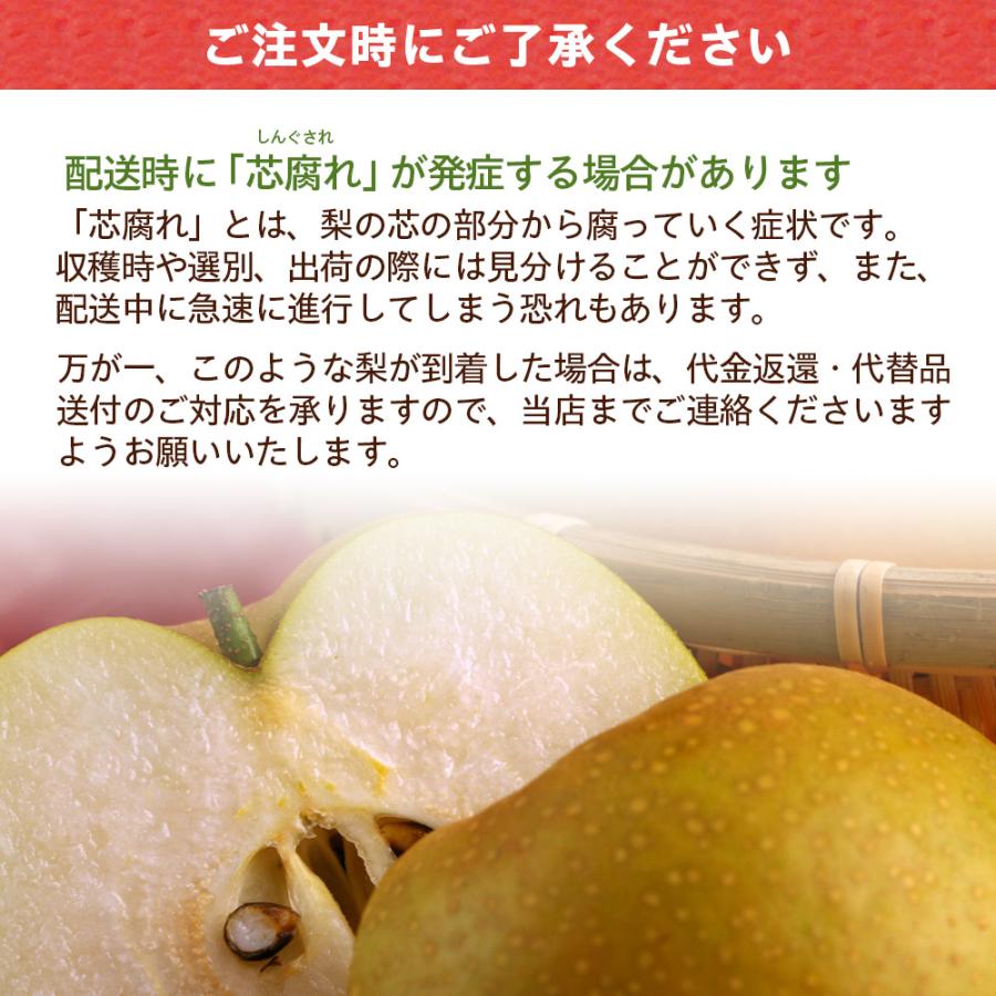 風味絶佳 梨 光センサー糖度13度以上保証 新甘泉（しんかんせん） 5kg
