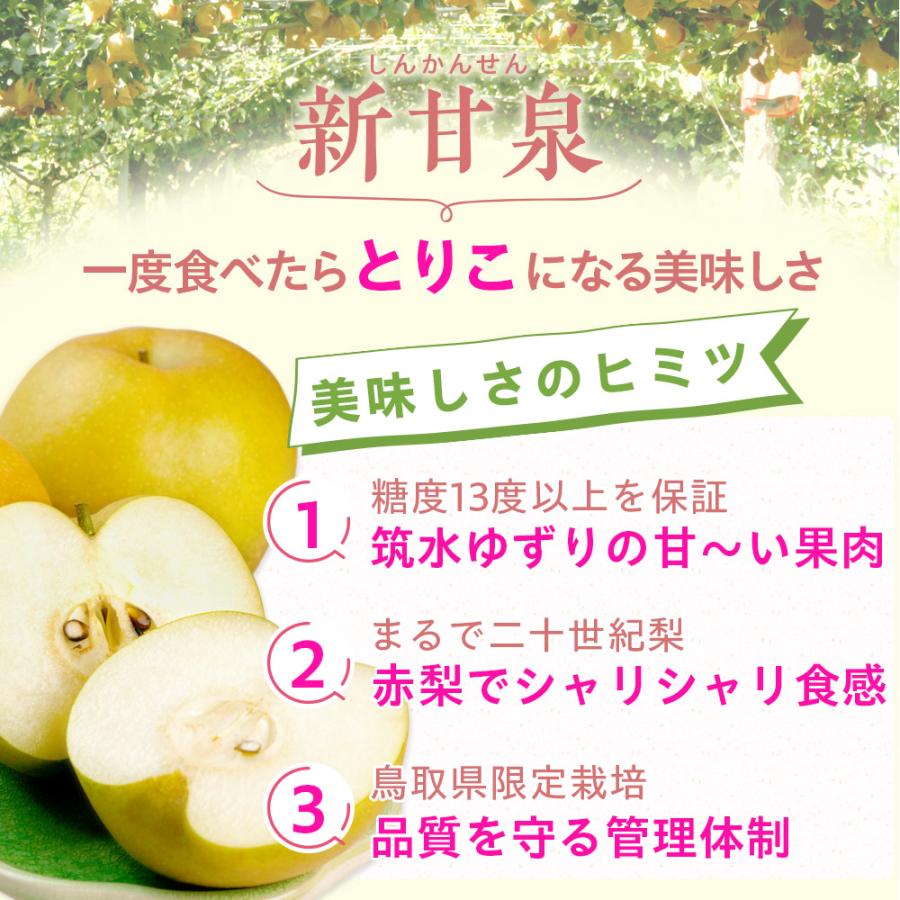 蓮香　8月1日予定分 梨 光センサー糖度13度以上保証 新甘泉（しんかんせん） 5kg詰