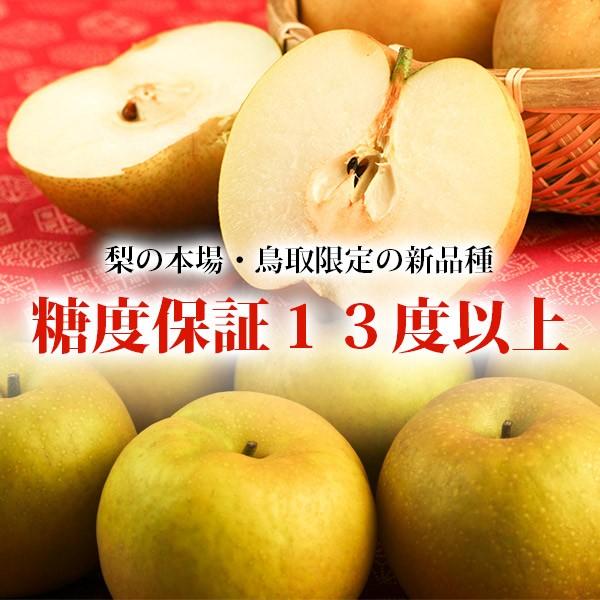 梨 光センサー糖度13度以上保証 新甘泉（しんかんせん） 5kg詰（8〜14玉入） 鳥取県産 なし 新甘泉梨 赤秀 送料無料（北海道・沖縄を除く）｜toretatehonpo｜09