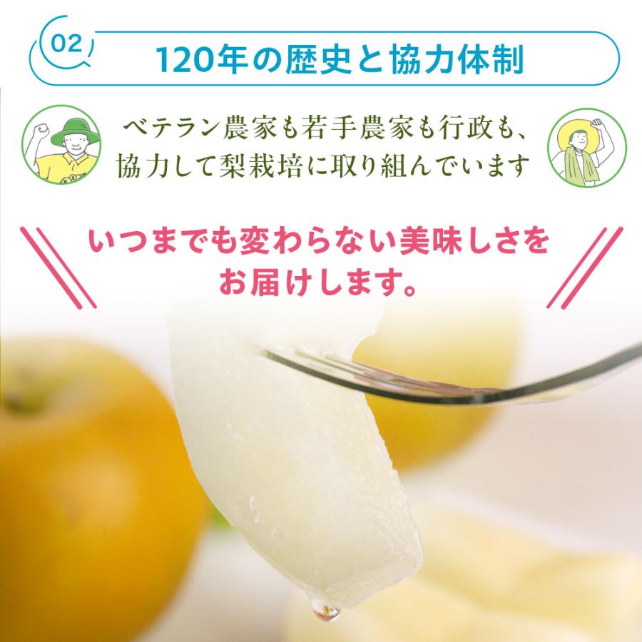 風味絶佳 梨 光センサー糖度13度以上保証 新甘泉（しんかんせん） 5kg