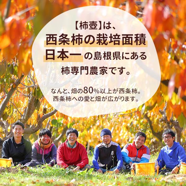 柿農家「柿壺」の西条柿5キロ詰（21〜28玉入） 渋抜き 島根県産 柿 ギフト 送料無料（北海道・沖縄を除く）｜toretatehonpo｜07