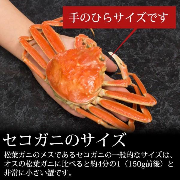 セコガニ(せいこがに せこがに 親がに 松葉がにの雌)150g前後(中サイズ)×4枚 日本海産 未冷凍 お歳暮ギフト 送料無料(北海道・沖縄を除く) :mj-seko-brand-a-re:パーソナルギフト 風味絶佳.山陰 - 通販 - Yahoo!ショッピング セコガニ(せいこがに せこがに 親がに 松葉がにの雌)150g前後(中サイズ)×4枚 日本海産 未冷凍 お歳暮ギフト 送料無料(北海道・沖縄を除く) :mj-seko-brand-a-re:パーソナルギフト 風味絶佳.山陰 - 通販 - Yahoo!ショッピング