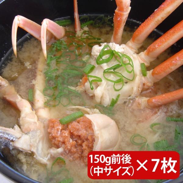 せいこがに　セイコガニ　香箱がに　折れ混ざり　無選別　日本海産　姿　中　未冷凍 せいこがに セイコガニ 香箱がに 折れ混ざり 無選別 日本海産 姿