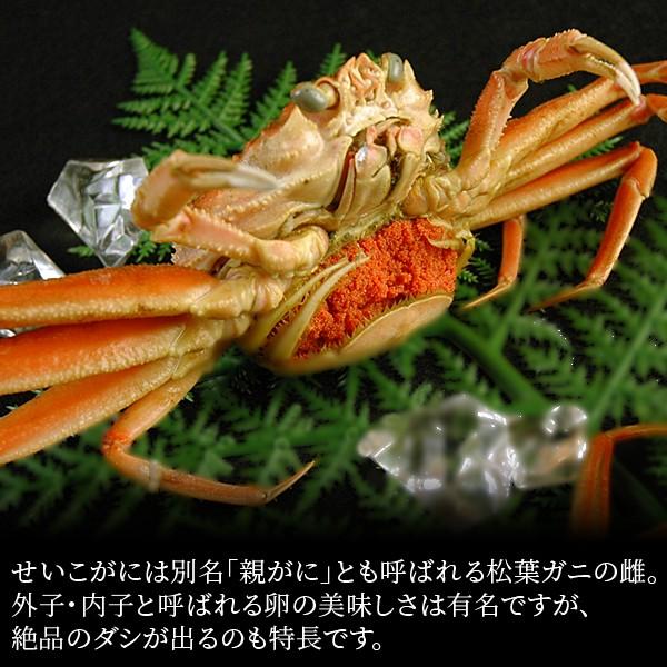 風味絶佳 セコガニ（せいこがに セイコガニ せこがに 親がに 松葉がに