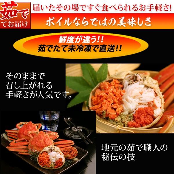 セコガニ(せいこがに せこがに 親がに 松葉ガニの雌)180g前後(大サイズ)×5枚 日本海産 未冷凍 お歳暮ギフト 送料無料(北海道・沖縄を除く) :mj-seko-brand-d-re:パーソナルギフト 風味絶佳.山陰 - 通販 - Yahoo!ショッピング セコガニ(せいこがに せこがに 親がに 松葉ガニの雌)180g前後(大サイズ)×5枚 日本海産 未冷凍 お歳暮ギフト 送料無料(北海道・沖縄を除く) :mj-seko-brand-d-re:パーソナルギフト 風味絶佳.山陰 - 通販 - Yahoo!ショッピング