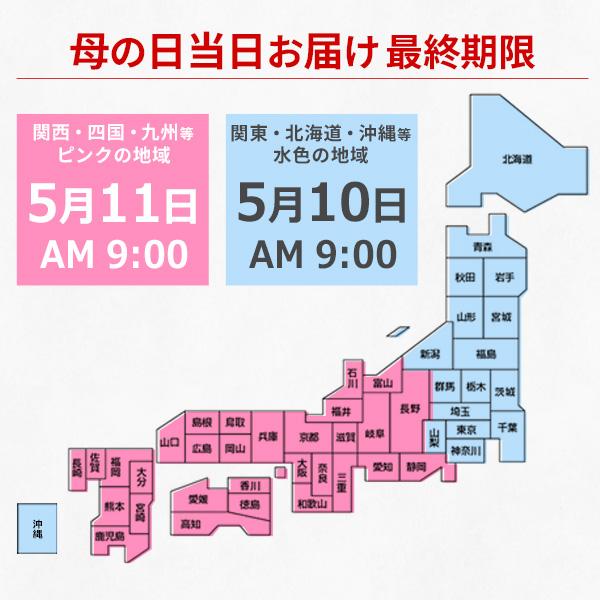 母の日 プレゼント 花 2024 ギフト スイーツ 和菓子 お菓子 50代 60代 70代 80代 90代 『 プリザーブドフラワー ＆和菓子「立夏蝶」 送料無料』｜toretatehonpo｜15