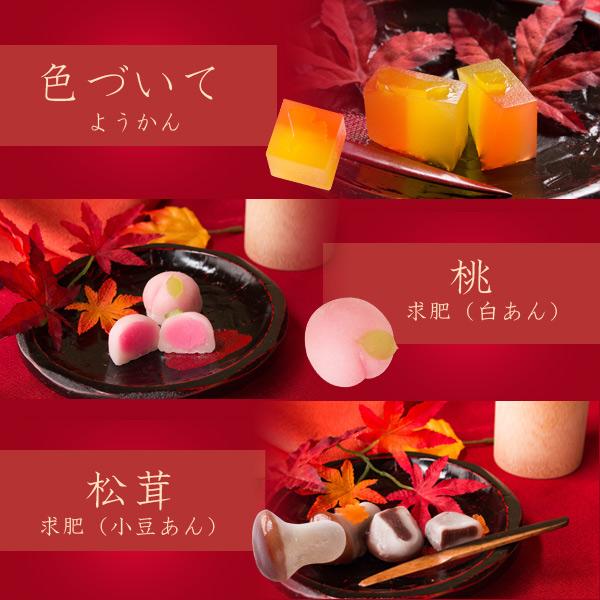 風味絶佳 和菓子 ギフト 詰め合わせ 秋季限定 四季の九撰 上生菓子