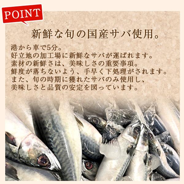 風味絶佳 おつまみ 珍味 炙り鯖ジャーキー（プレーン）100g 小倉屋
