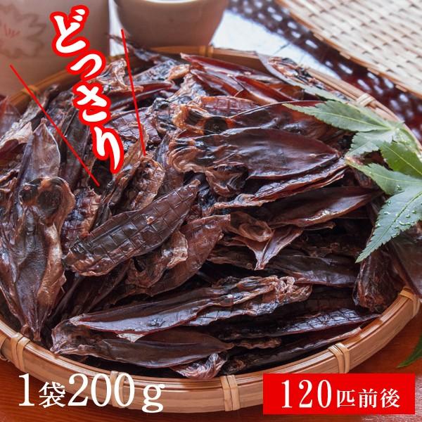 おつまみ 珍味 ほたるいか素干し“無添加”200g（ホタルイカ素干し120匹前後入） おつまみ 珍味 送料無料 ネコポス（他商品との同梱不可）｜toretatehonpo｜05