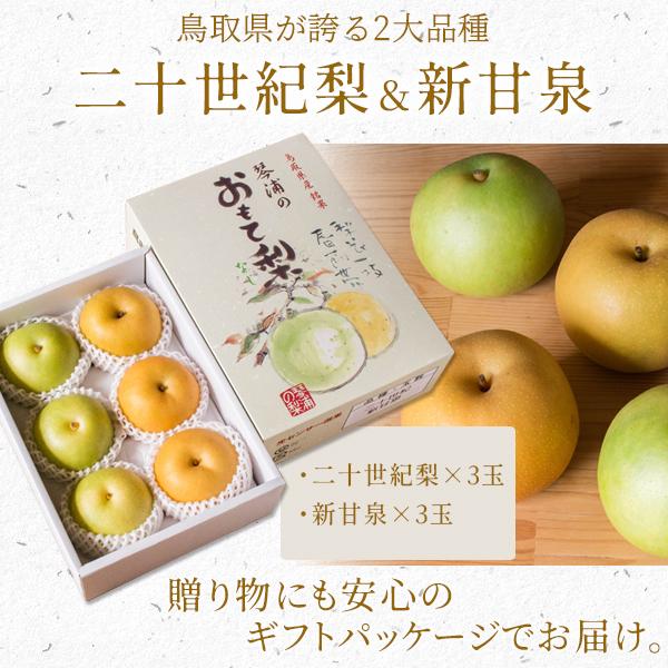 値下げ❣️ 鳥取県産　二十世紀梨　2L 10kg 秀品❣️ 値下げ❣️ 鳥取県産 二十世紀梨 2L 10kg 秀品❣️ 【公式通販】