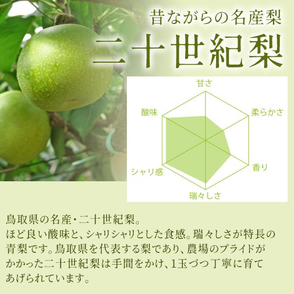風味絶佳 梨 二十世紀梨＆新甘泉2kg詰合せ（6玉入り） 鳥取県産 梨
