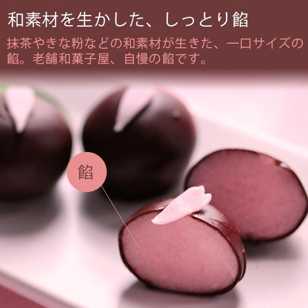 バレンタイン ばらまき 2026 チョコ チョコレート 大量 坂根屋 和トリュフ IZUMO3個入 ギフト 子供 職場 義理チョコ おもしろ かわいい プレゼント 人気 会社 | 風味絶佳 | 06