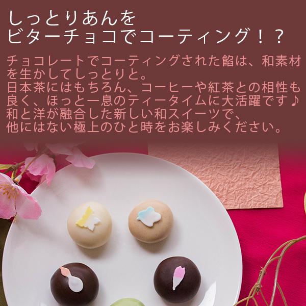 バレンタイン ばらまき 2026 チョコ チョコレート 大量 坂根屋 和トリュフ IZUMO3個入 ギフト 子供 職場 義理チョコ おもしろ かわいい プレゼント 人気 会社 | 風味絶佳 | 04