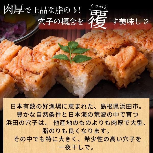 Sale 送料無料 約700g 12 15本 天然焼あなご 国産 焼穴子 1本1本丁寧に手焼きされた極上穴子 穴子丼 父の日 御歳暮 御中元 誕生日祝 冷蔵クール便 魚屋さんから焼き立て直送 手焼き 穴子の天ぷら 魚介類 海産物 Www Homerenovationwi Com