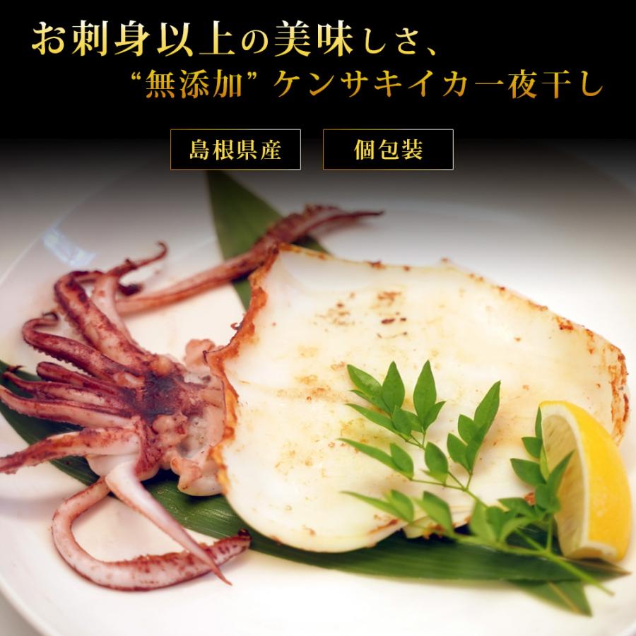 風味絶佳 剣先イカ 干物 一夜干し 1kg（7〜14枚入）訳あり 島根県産