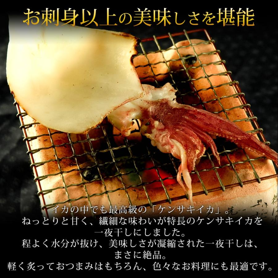 風味絶佳 剣先イカ 干物 一夜干し 1kg（7〜14枚入）訳あり 島根県産