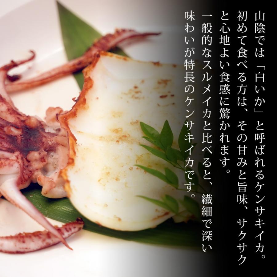 剣先イカ 一夜干し400g(3〜5枚入) 訳あり 島根県産 剣先イカ 一夜干し400g(3〜5枚入) 訳あり 島根県産