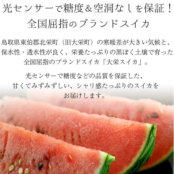 風味絶佳 スイカ 大栄すいか10kg前後（超大玉サイズ）×1玉 鳥取県産 ご