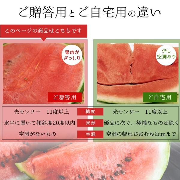 風味絶佳 スイカ 大栄すいか10kg前後（超大玉サイズ）×1玉 鳥取県産 ご