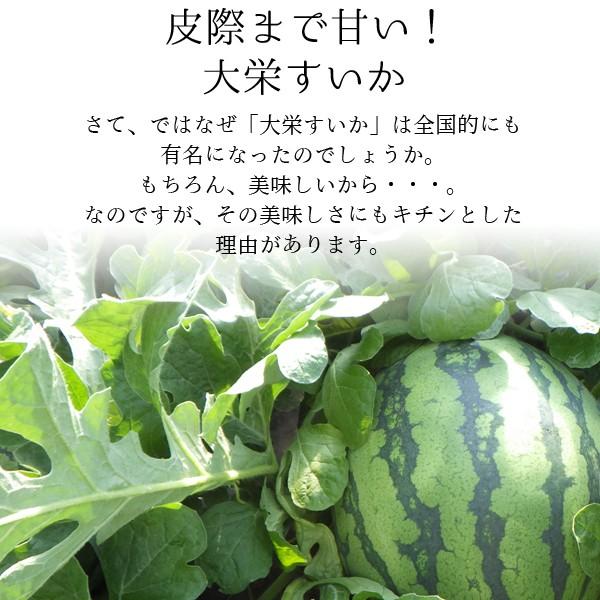 風味絶佳 スイカ 大栄すいか10kg前後（超大玉サイズ）×1玉 鳥取県産 ご