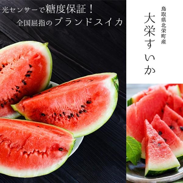 風味絶佳 スイカ 大栄すいか7kg前後（大玉サイズ）×1玉 鳥取県産 ご