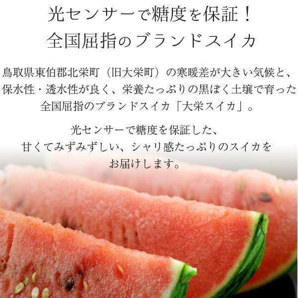大栄すいか10kg前後（超大玉サイズ）&times;1玉 鳥取県産 ご自宅用大栄スイカ 訳あり 送料無料（北海道・沖縄を除く）