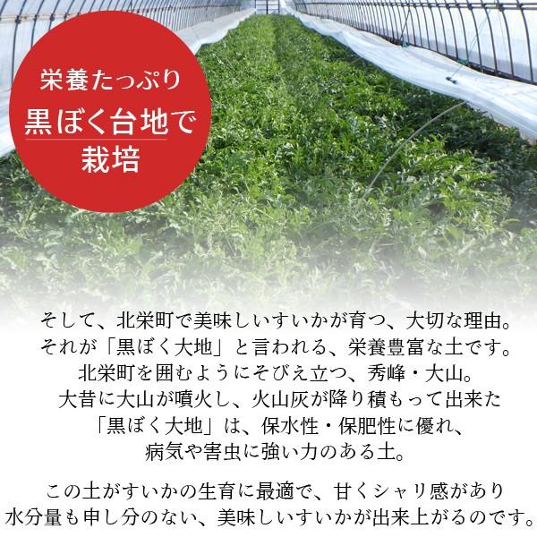 大栄すいか10kg前後（超大玉サイズ）&times;1玉 鳥取県産 ご自宅用大栄スイカ 訳あり 送料無料（北海道・沖縄を除く）