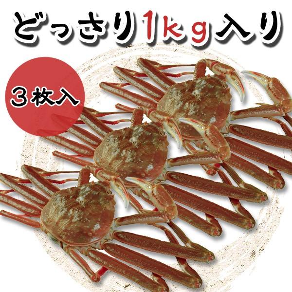 若松葉ガニ約1kg（300g以上×3枚入） 訳あり 日本海産 活生 送料無料 | 風味絶佳 | 02